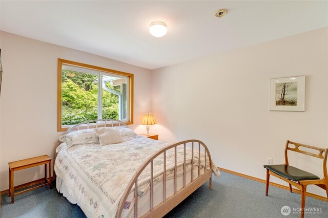317 Eagles Roost Ln, Lopez Island, WA 98261 - bedroom with carpet and baseboards