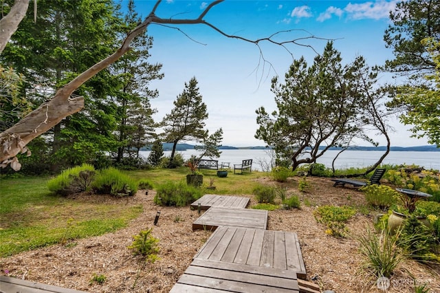 317 Eagles Roost Ln, Lopez Island, WA 98261 - view of yard featuring a water view