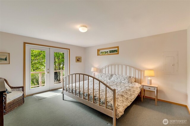 317 Eagles Roost Ln, Lopez Island, WA 98261 - bedroom featuring carpet flooring, french doors, access to outside, and baseboards