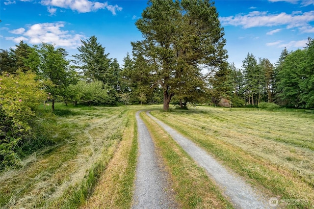 317 Eagles Roost Ln, Lopez Island, WA 98261 - view of street featuring a view of trees