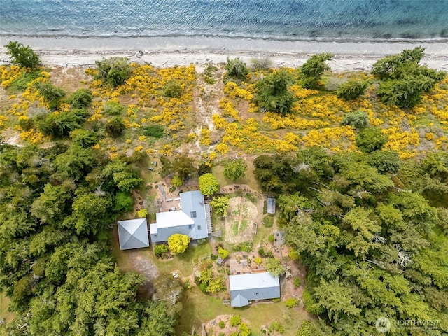 317 Eagles Roost Ln, Lopez Island, WA 98261 - aerial view