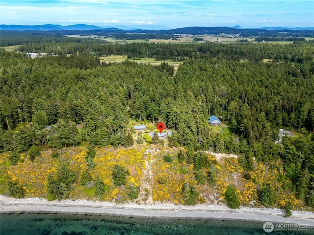 317 Eagles Roost Ln, Lopez Island, WA 98261 - aerial view of a forest and a mountainous background