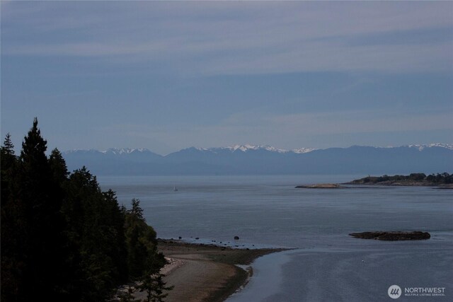 317 Eagles Roost Ln, Lopez Island, WA 98261 - water view featuring mountains
