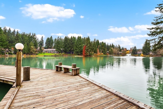 6581 137th Pl NE Unit 483, Redmond, WA 98052 - dock featuring a water view