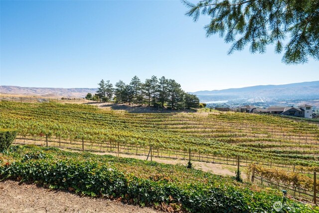 4180 April Dr, Wenatchee, WA 98801 - view of mountain background with rural landscape and rows of crops