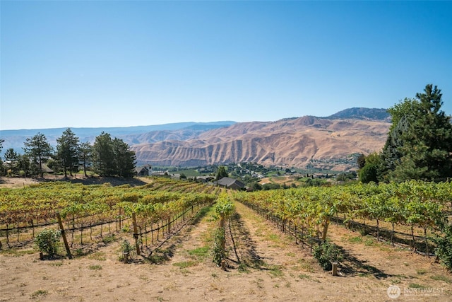 4180 April Dr, Wenatchee, WA 98801 - view of mountain backdrop with rural landscape and large plots for crops
