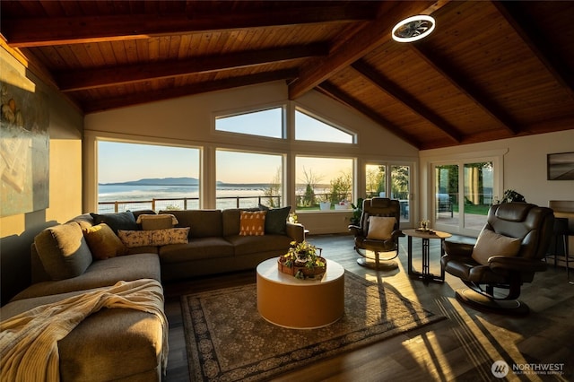 3161 Locust Ave, Bellingham, WA 98225 - living area with wood ceiling and wood finished floors