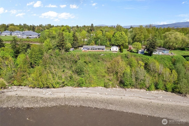 3161 Locust Ave, Bellingham, WA 98225 - aerial view of a forest