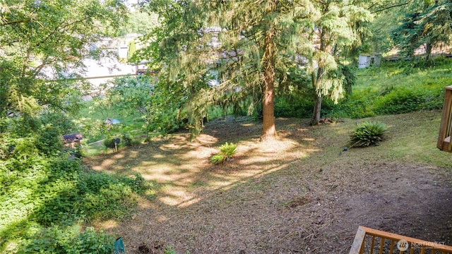29604 22nd S, Federal Way, WA 98003 - view of yard