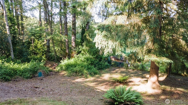 29604 22nd S, Federal Way, WA 98003 - view of yard
