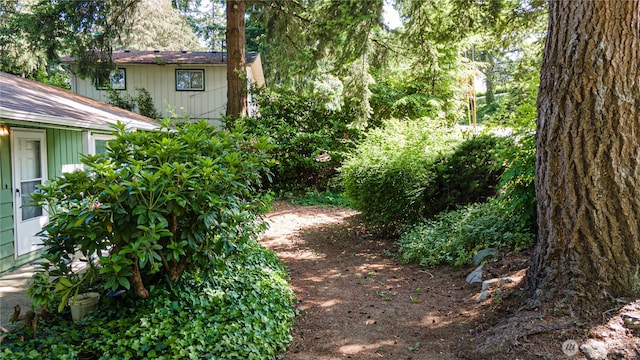 29604 22nd S, Federal Way, WA 98003 - view of yard