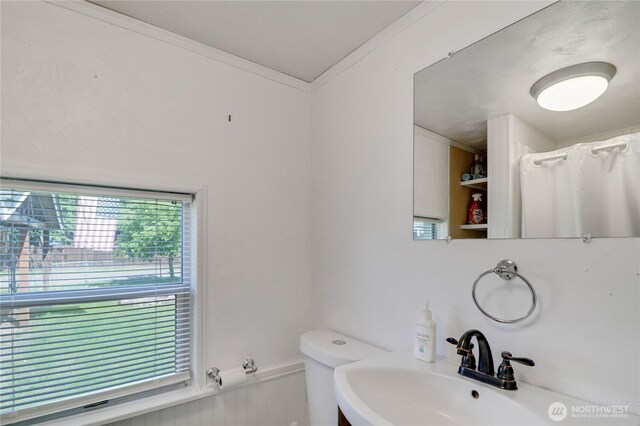 108 2nd St SE, Rainier, WA 98576 - full bathroom with a sink, toilet, crown molding, and a shower with curtain