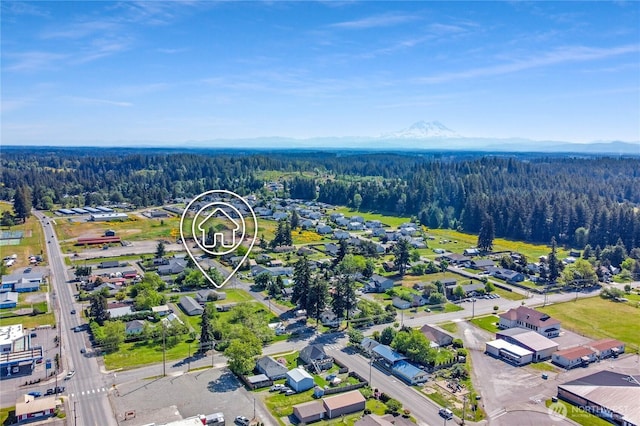 108 2nd St SE, Rainier, WA 98576 - bird's eye view of a heavily wooded area