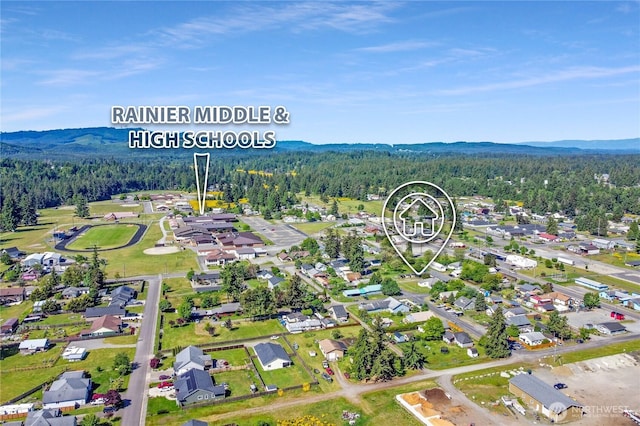 108 2nd St SE, Rainier, WA 98576 - aerial view of residential area with a heavily wooded area and a mountain backdrop