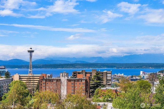 633 13th Ave E, Seattle, WA 98102 - water view featuring a mountain backdrop