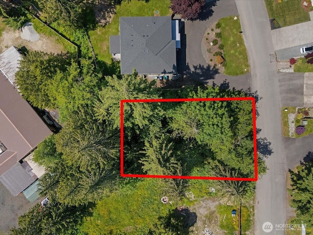 10008 228th Pl SE, Woodinville, WA 98077 - photo 1