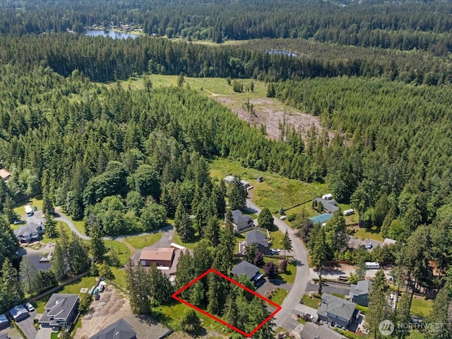 10008 228th Pl SE, Woodinville, WA 98077 - photo 4