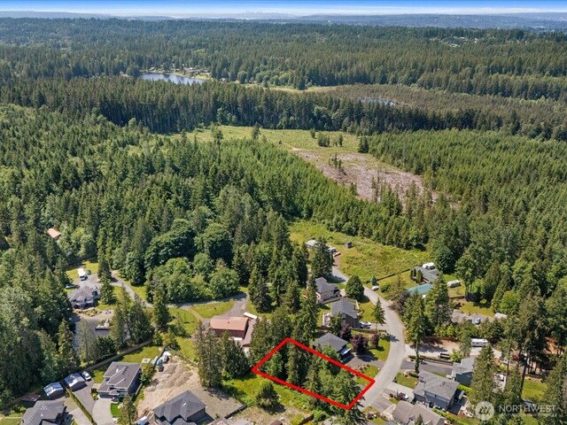 10008 228th Pl SE, Woodinville, WA 98077 - photo 5