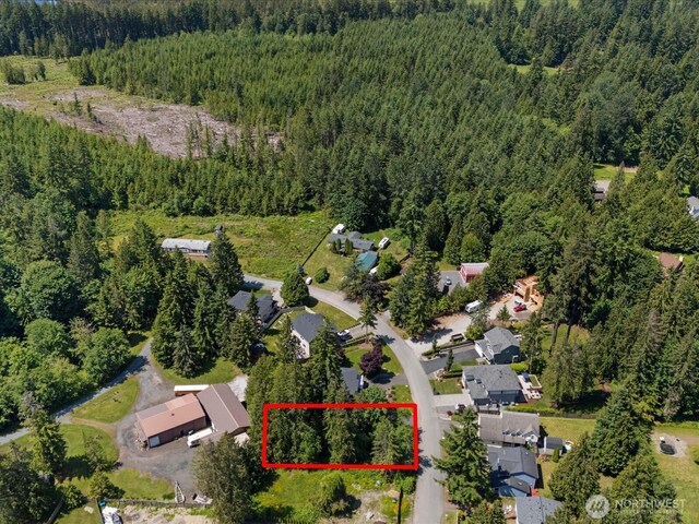 10008 228th Pl SE, Woodinville, WA 98077 - photo 6