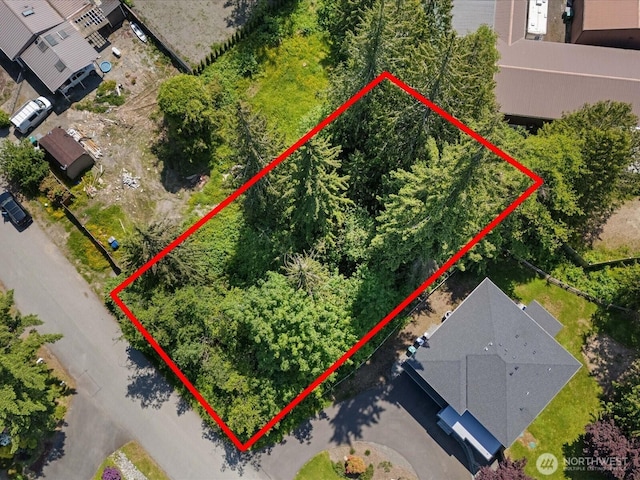 10008 228th Pl SE, Woodinville, WA 98077 - photo 10