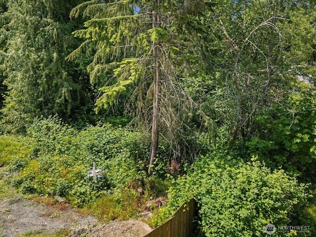 10008 228th Pl SE, Woodinville, WA 98077 - photo 11