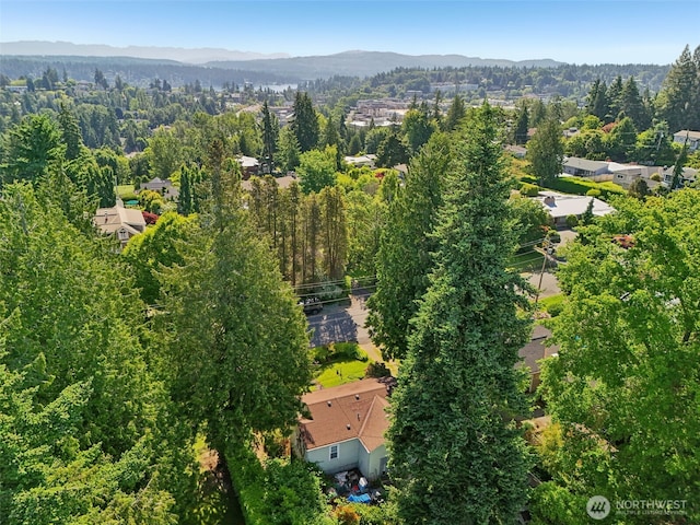 2241 72nd Ave SE, Mercer Island, WA 98040 - photo 18