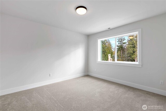 11233 79th Avenue Ct SW, Lakewood, WA 98498 - photo 17