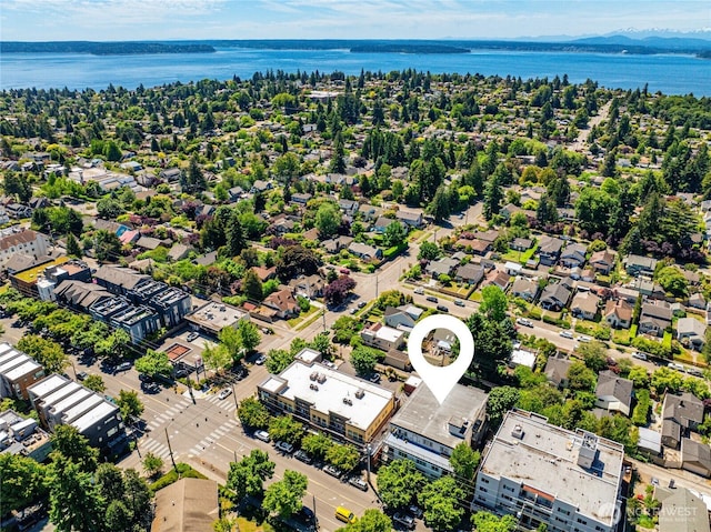 3717 California Ave SW Unit 304, Seattle, WA 98116 - drone / aerial view of a water and mountain view