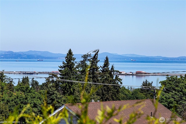 1716 E 4th St, Port Angeles, WA 98362 - water view with a mountain backdrop