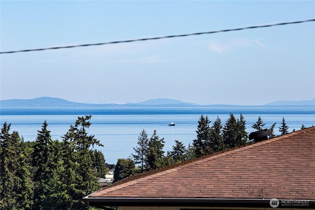 1716 E 4th St, Port Angeles, WA 98362 - water view with mountains