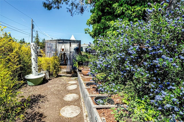 1716 E 4th St, Port Angeles, WA 98362 - view of yard featuring a vegetable garden