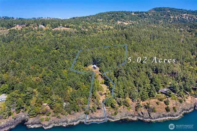 815 Carefree Way, Friday Harbor, WA 98250 - aerial view of property and surrounding area with property parcel outlined and a large body of water