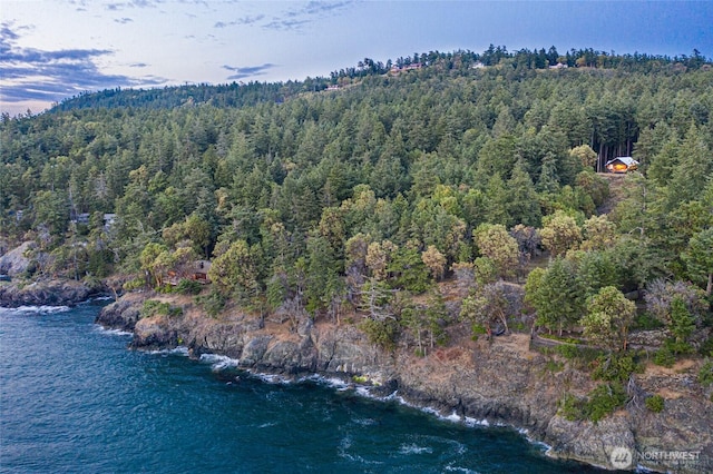 815 Carefree Way, Friday Harbor, WA 98250 - drone / aerial view of a forest and a nearby body of water