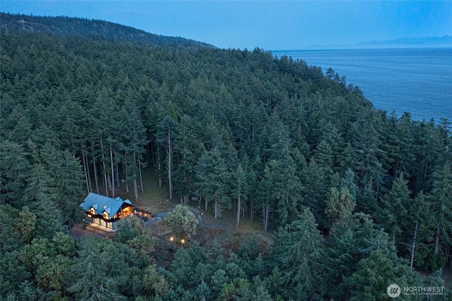 815 Carefree Way, Friday Harbor, WA 98250 - view of subject property with a forest and a nearby body of water