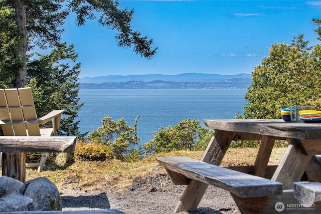 815 Carefree Way, Friday Harbor, WA 98250 - water view with mountains