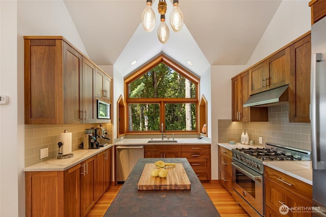 815 Carefree Way, Friday Harbor, WA 98250 - kitchen featuring appliances with stainless steel finishes, under cabinet range hood, lofted ceiling, light wood-style flooring, and brown cabinetry