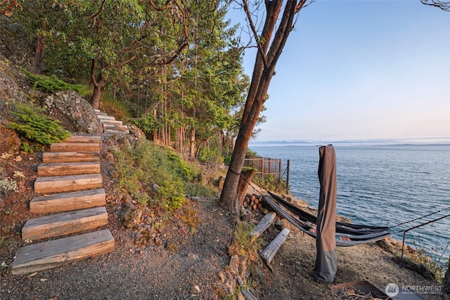 815 Carefree Way, Friday Harbor, WA 98250 - view of yard featuring a water view