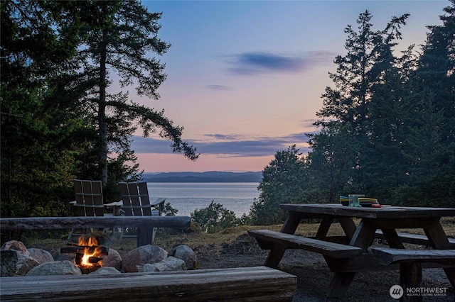815 Carefree Way, Friday Harbor, WA 98250 - water view with a fire pit
