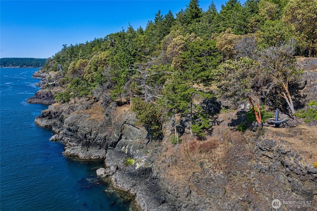 815 Carefree Way, Friday Harbor, WA 98250 - aerial view of property's location with a large body of water and a heavily wooded area