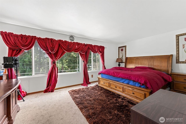 6940 35th St W, University Place, WA 98466 - carpeted bedroom with baseboards