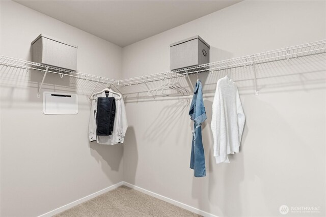 7318 281st Pl NW Unit 42, Stanwood, WA 98292 - walk in closet with carpet