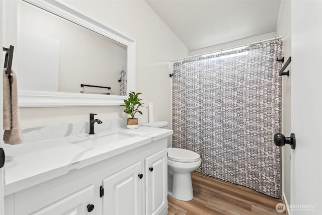 12323 Burchard Dr SW, Port Orchard, WA 98367 - bathroom with vanity, toilet, wood finished floors, and a shower with curtain