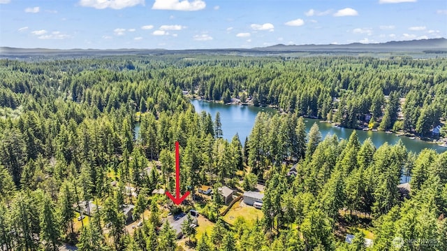12323 Burchard Dr SW, Port Orchard, WA 98367 - aerial overview of property's location featuring a forest and a water and mountain view