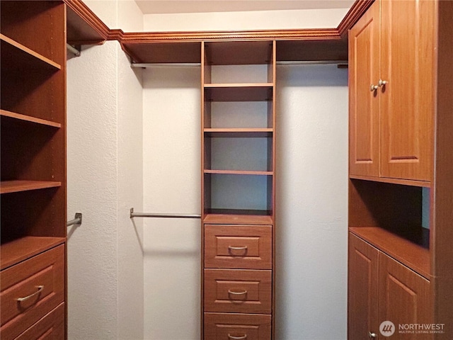 9002 Shadberry Dr SE, Olympia, WA 98513 - view of spacious closet