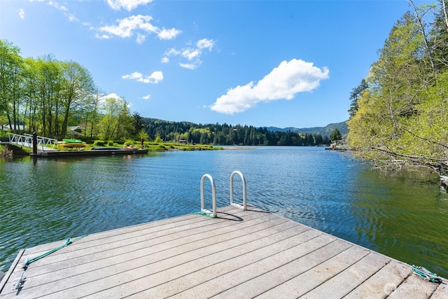 2 Greene Point Rd, Bellingham, WA 98229 - dock area with a water view