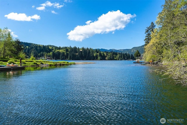 2 Greene Point Rd, Bellingham, WA 98229 - water view with a forest and a mountainous background