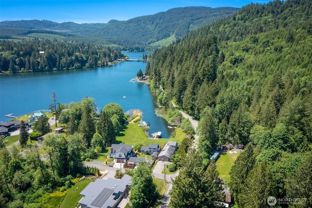 2 Greene Point Rd, Bellingham, WA 98229 - aerial view of property's location with a forest and a water and mountain view