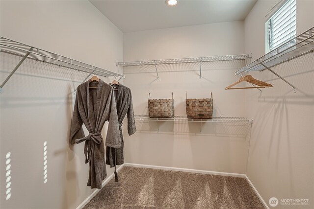 13461 192nd St E, Graham, WA 98338 - walk in closet with carpet flooring