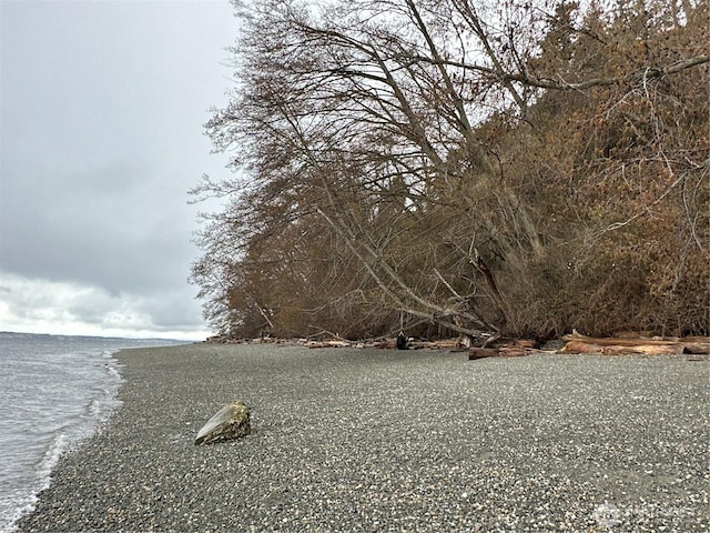 2XX Woodland Beach Rd, Camano Island, WA 98282 - photo 4