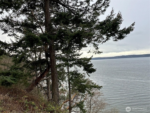 2XX Woodland Beach Rd, Camano Island, WA 98282 - photo 10